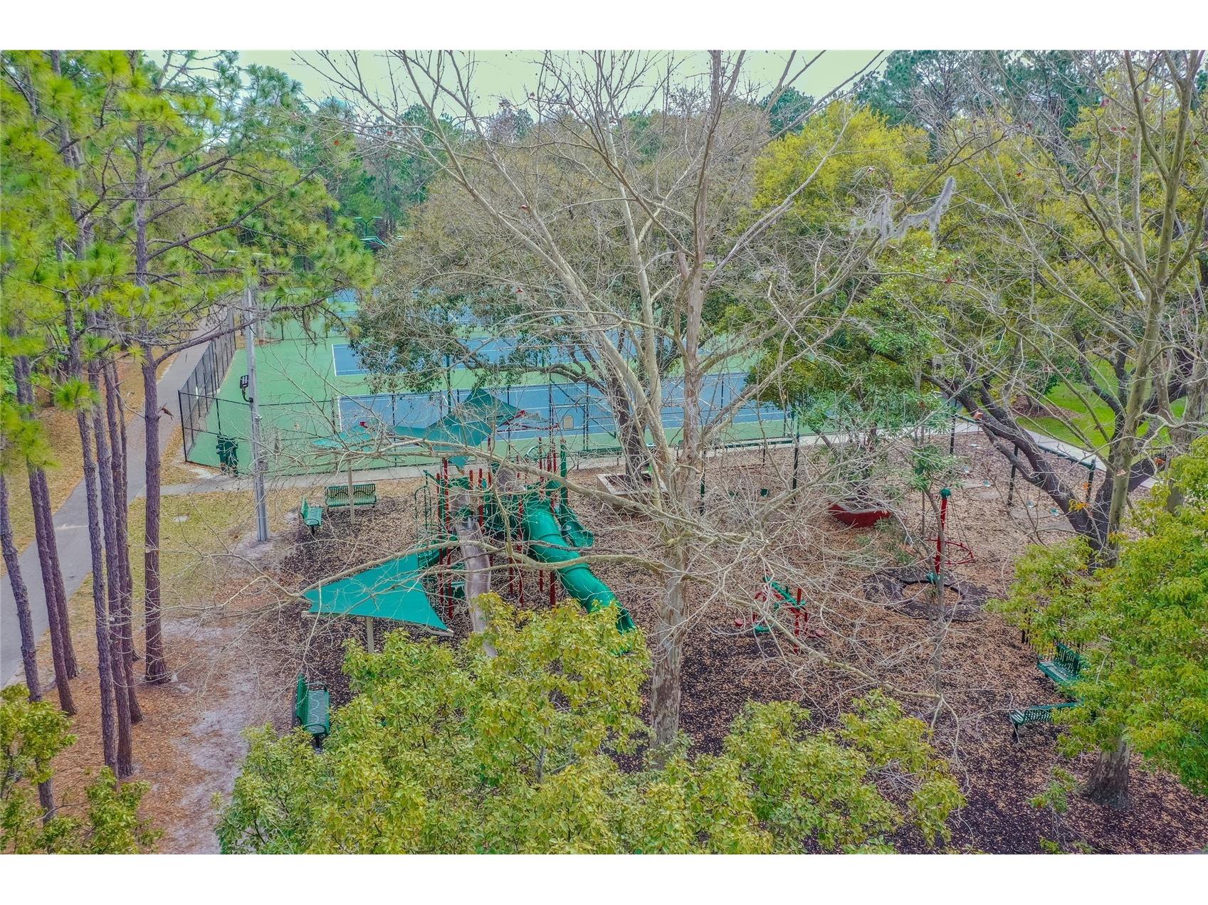 9109 Woodridge Run Drive Tampa FL 33647 TB8524979 image95