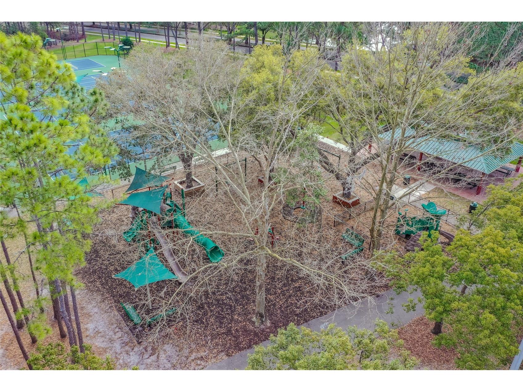 9109 Woodridge Run Drive Tampa FL 33647 TB8524979 image96