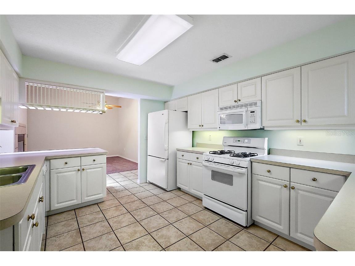 911 Beverly Harbors Drive #16 Leesburg FL 34748 G5098686 image21