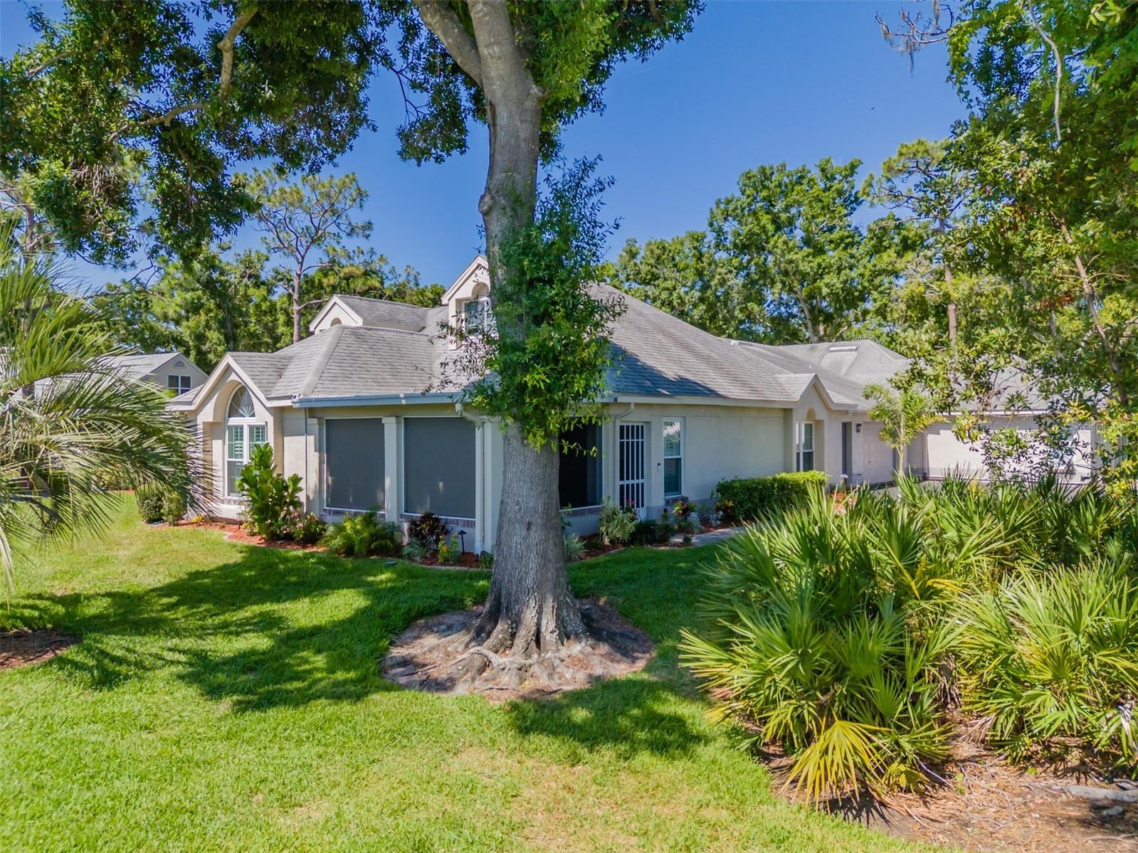 911 Golfview Woods Drive Sun City Center FL 33573 TB8516750 image1