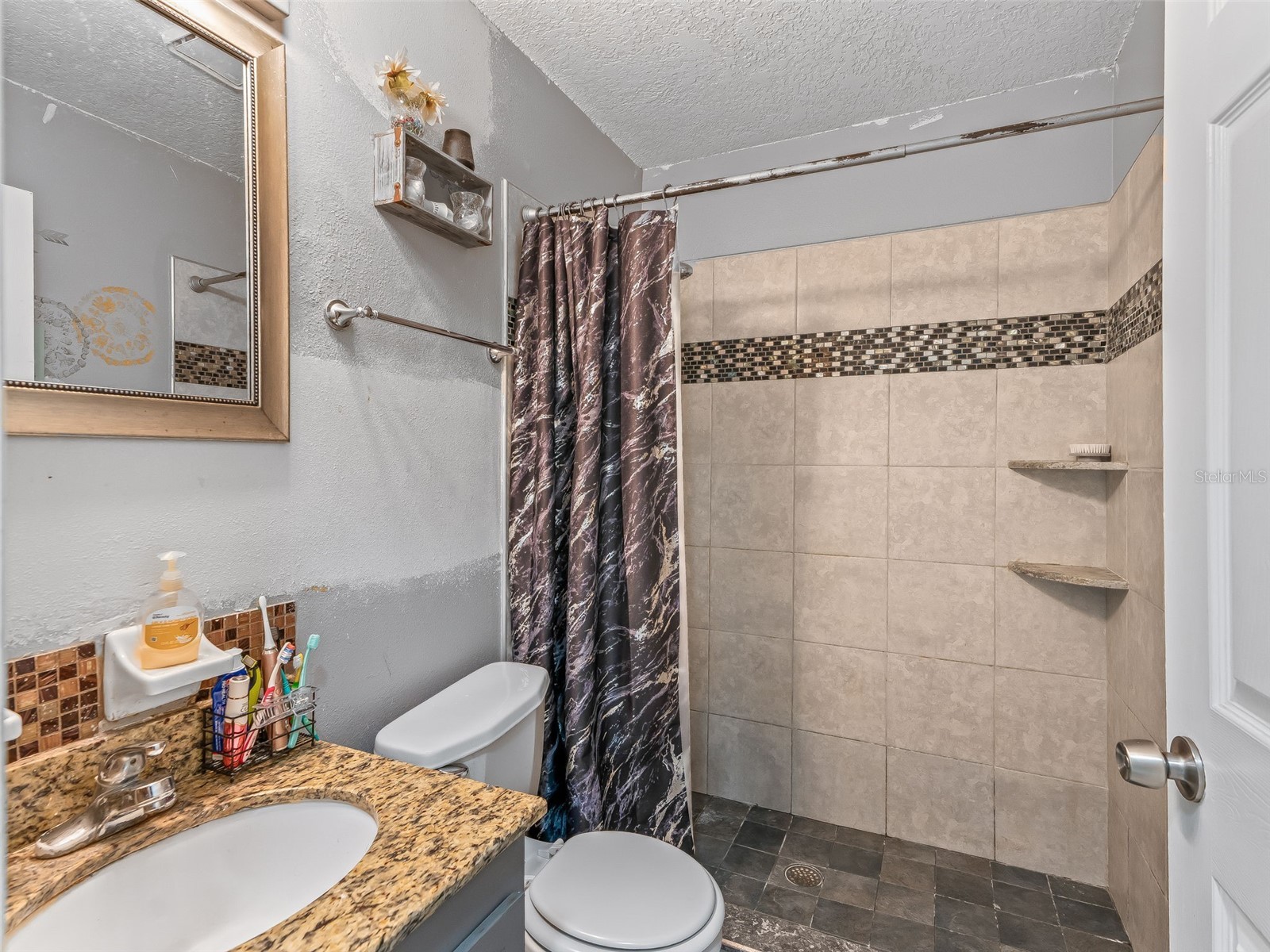 911 Jacaranda Drive Lady Lake FL 32159 OM721984 image14