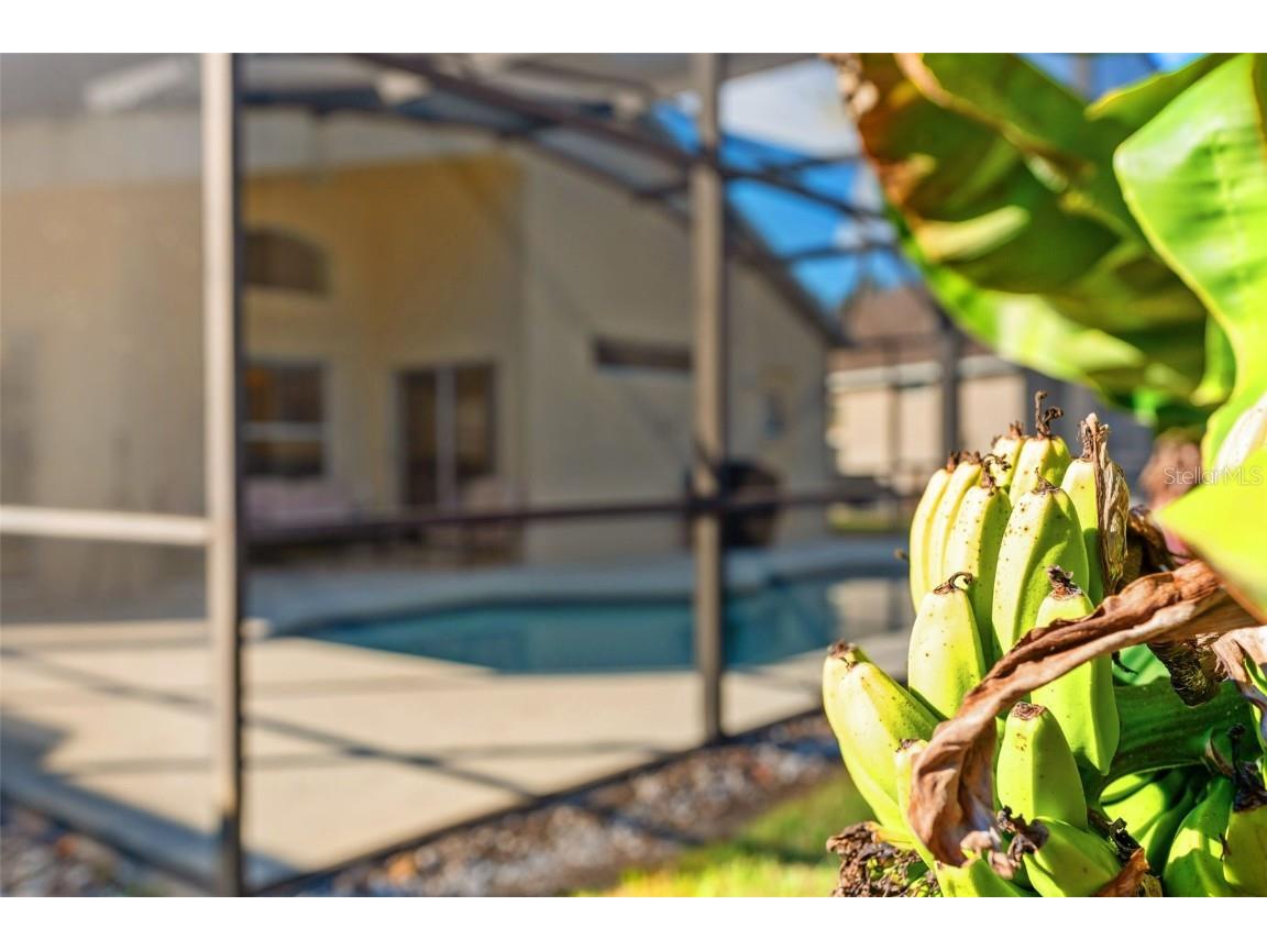 911 Lake Berkley Drive Kissimmee FL 34746 O6360856 image22