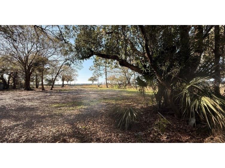 911 Marshall Farms Road Ocoee FL 34761 O6395466 image1