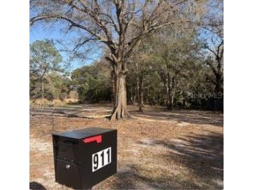 911 Marshall Farms Road Ocoee FL 34761 O6395466 image3