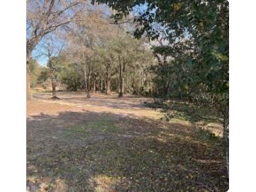 911 Marshall Farms Road Ocoee FL 34761 O6395466 image4