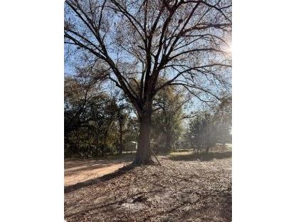 911 Marshall Farms Road Ocoee FL 34761 O6395466 image5