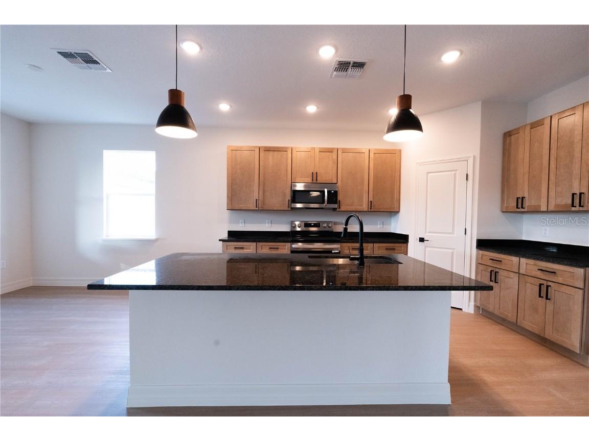 911 N New Hampshire Avenue Tavares FL 32778 O6371717 image10