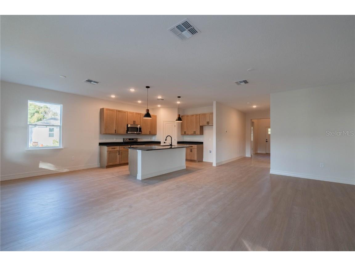 911 N New Hampshire Avenue Tavares FL 32778 O6371717 image16