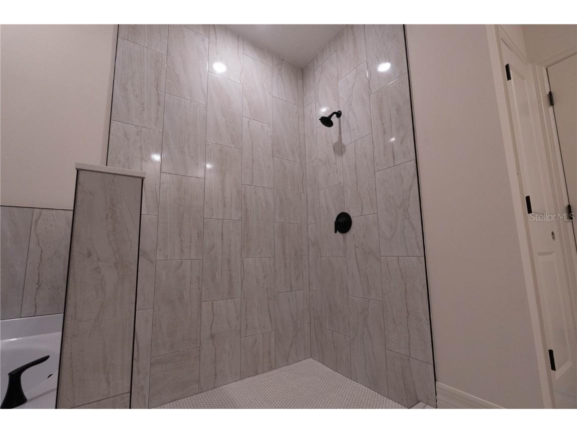 911 N New Hampshire Avenue Tavares FL 32778 O6371717 image25