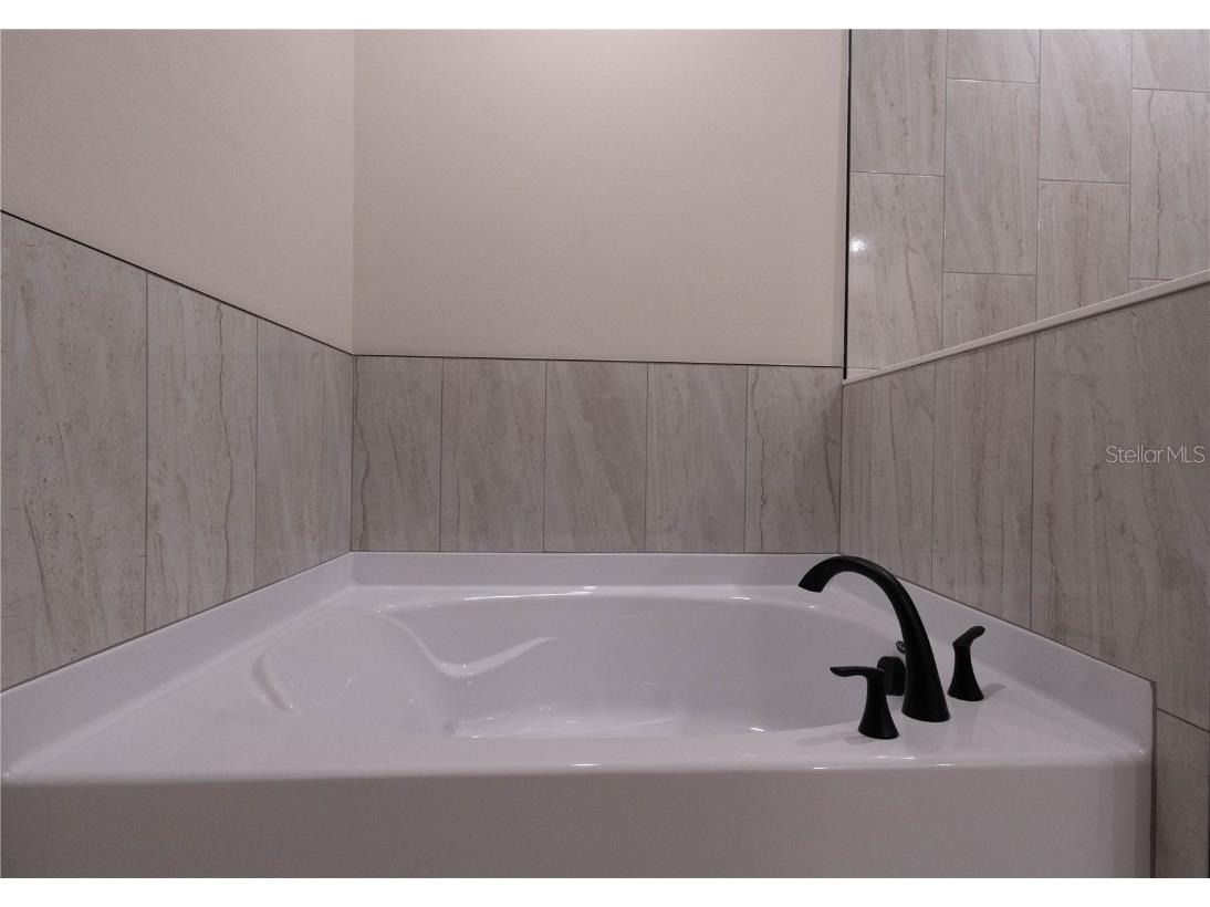 911 N New Hampshire Avenue Tavares FL 32778 O6371717 image26