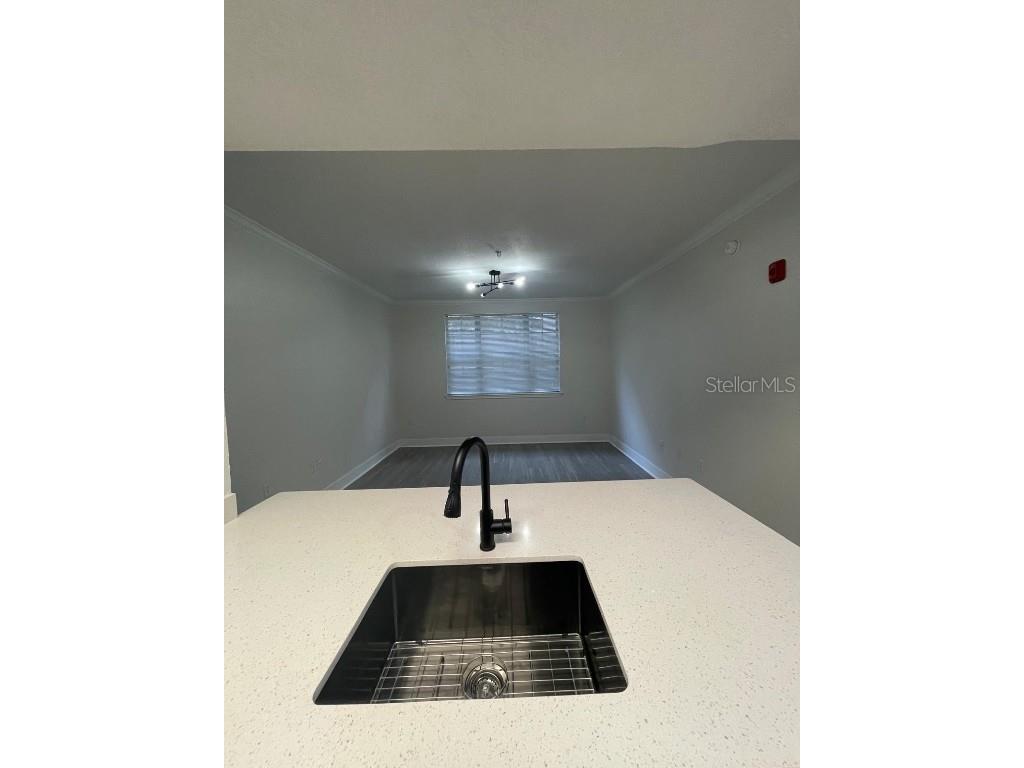 911 N Orange Avenue #119 Orlando FL 32801 O6365614 image2