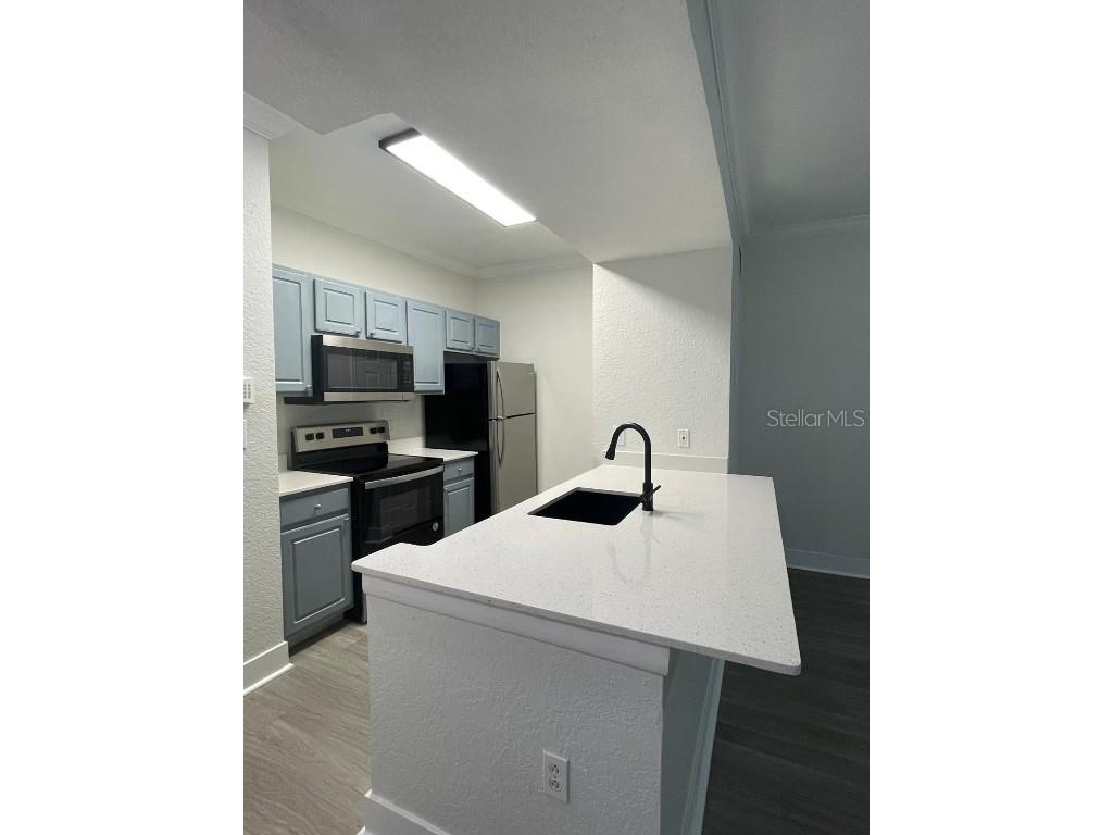 911 N Orange Avenue #119 Orlando FL 32801 O6365614 image3