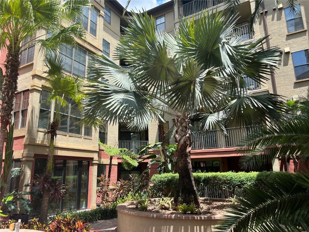 911 N Orange Avenue #127 Orlando FL 32801 O6342846 image14