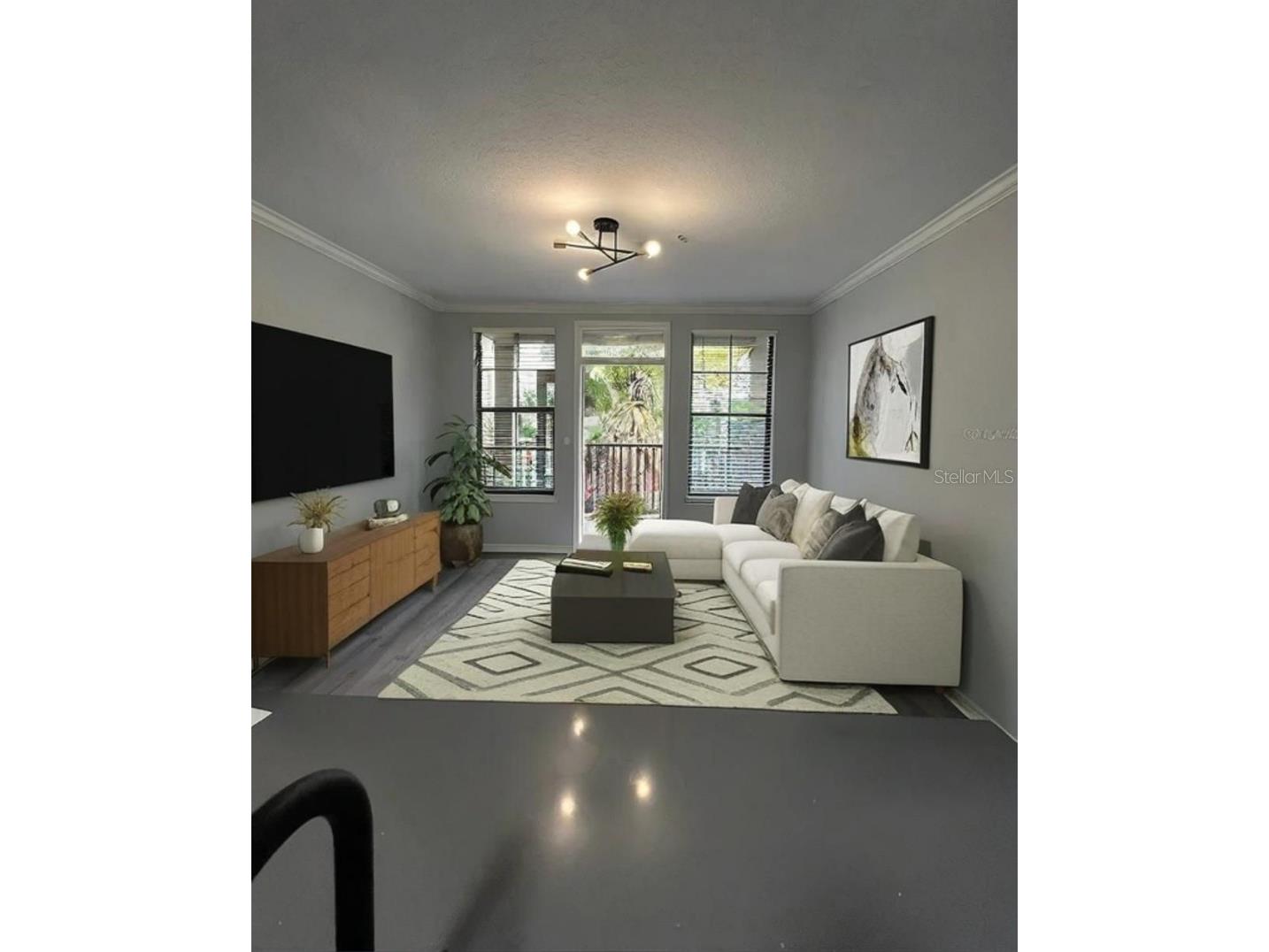 911 N Orange Avenue #246 Orlando FL 32801 O6333676 image9