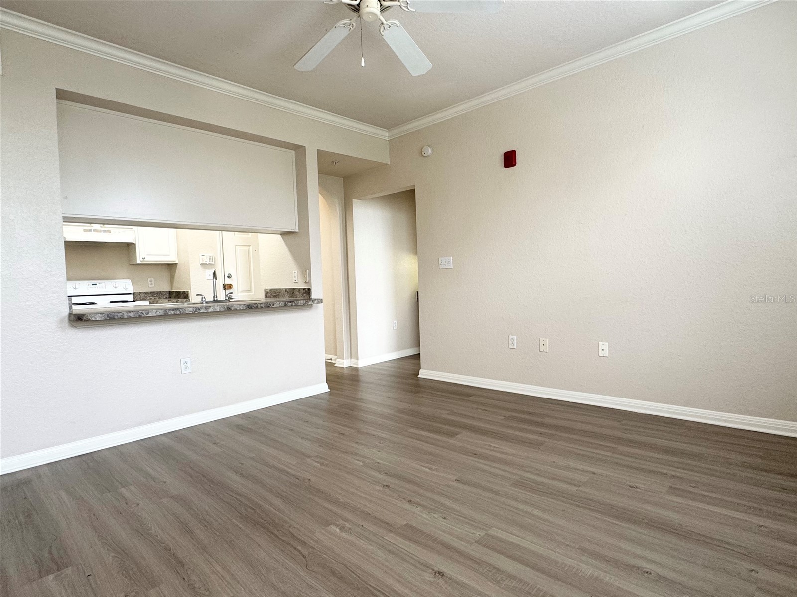 911 N Orange Avenue #445 Orlando FL 32801 O6408115 image11