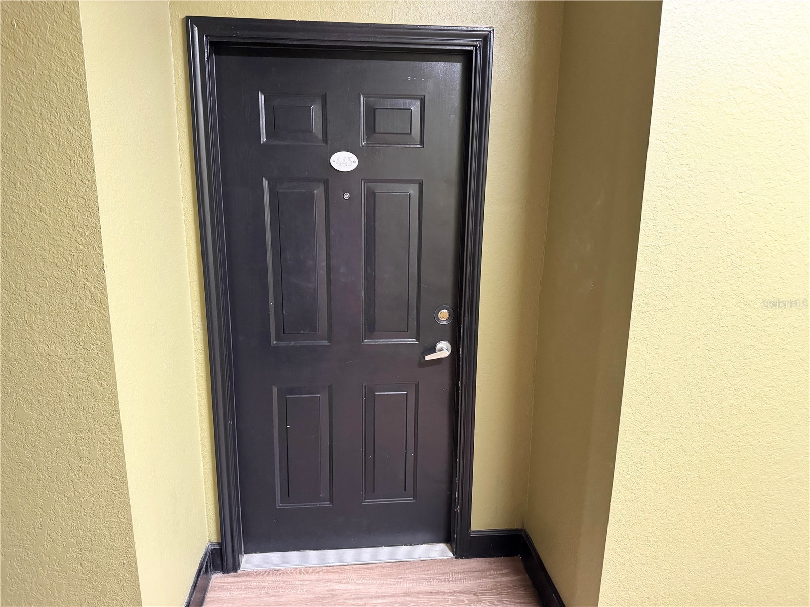 911 N Orange Avenue #445 Orlando FL 32801 O6408115 image3