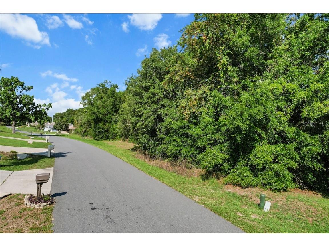 911 W Colbert Court Beverly Hills FL 34465 TB8446394 image3