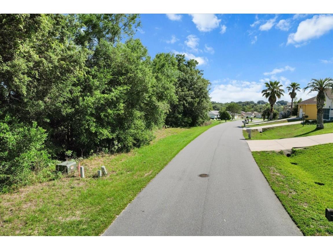 911 W Colbert Court Beverly Hills FL 34465 TB8446394 image4