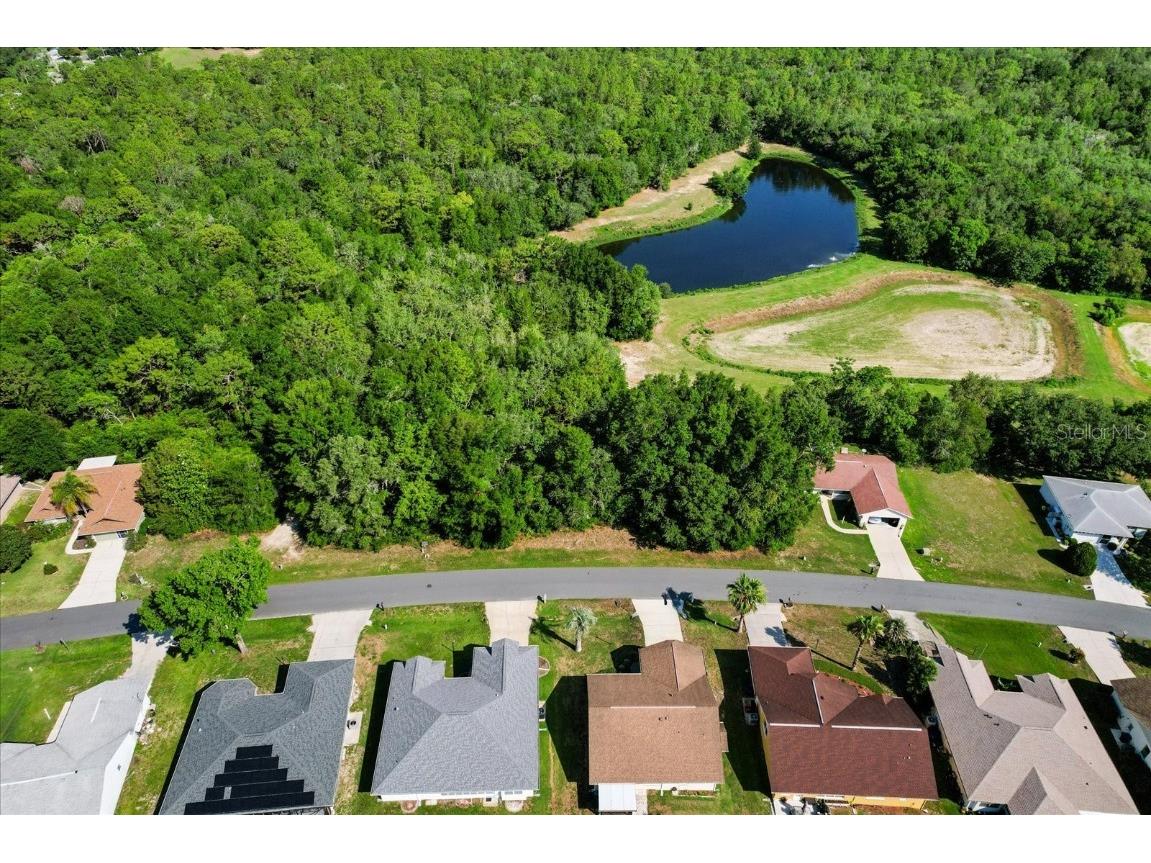 911 W Colbert Court Beverly Hills FL 34465 TB8446394 image5