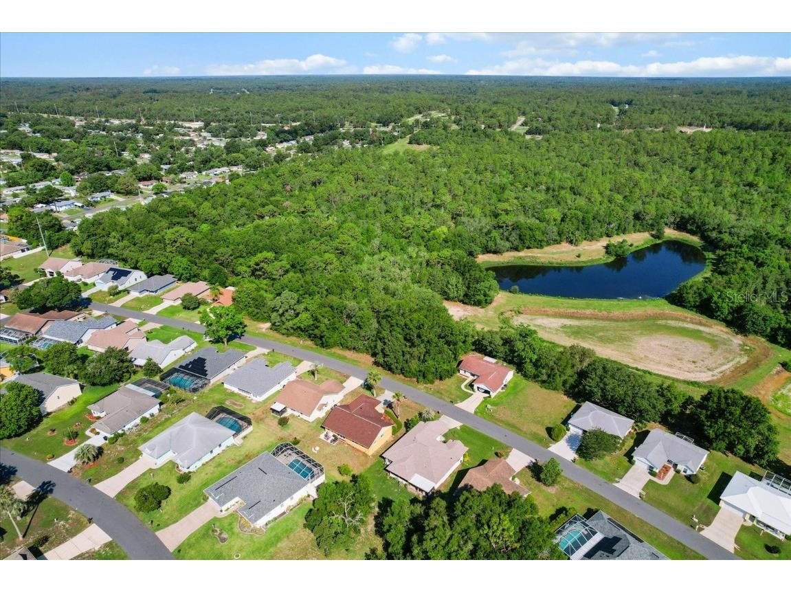 911 W Colbert Court Beverly Hills FL 34465 TB8446394 image6