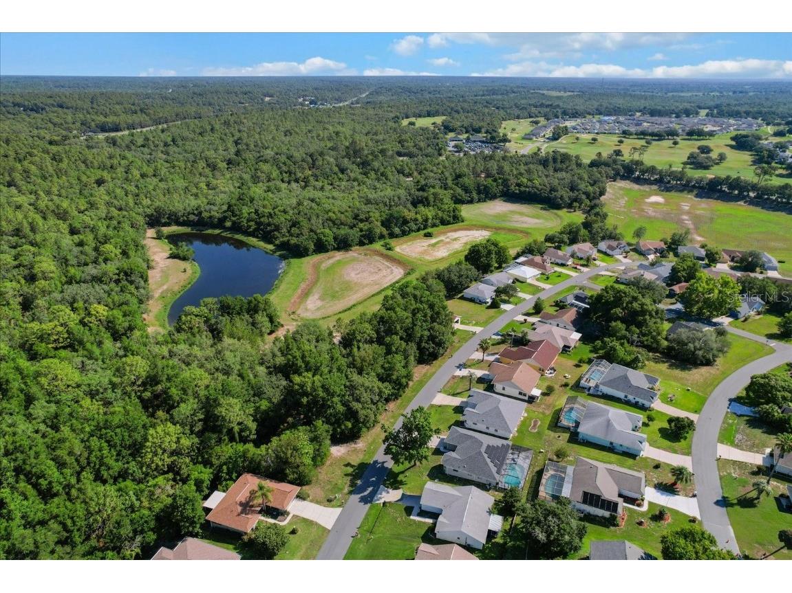 911 W Colbert Court Beverly Hills FL 34465 TB8446394 image8