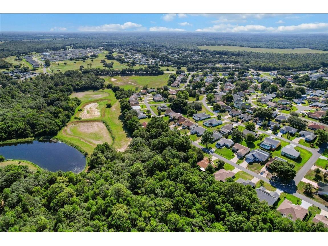 911 W Colbert Court Beverly Hills FL 34465 TB8446394 image9