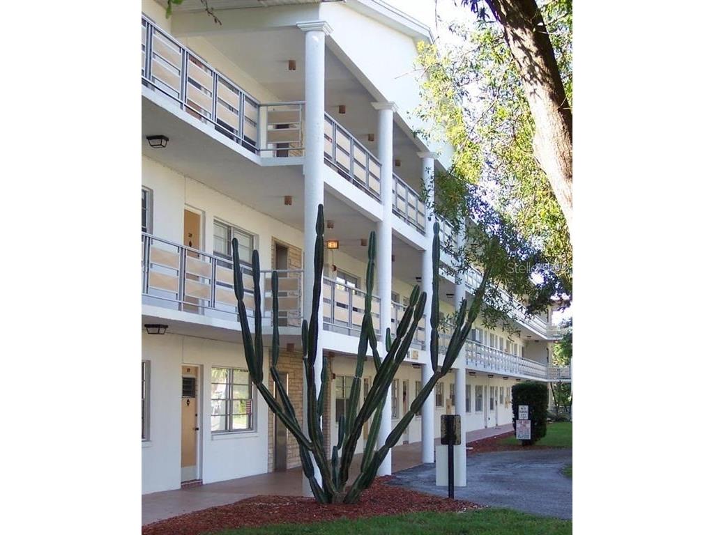 911 Washington Avenue SW #102 Largo FL 33770 U8203591 image1