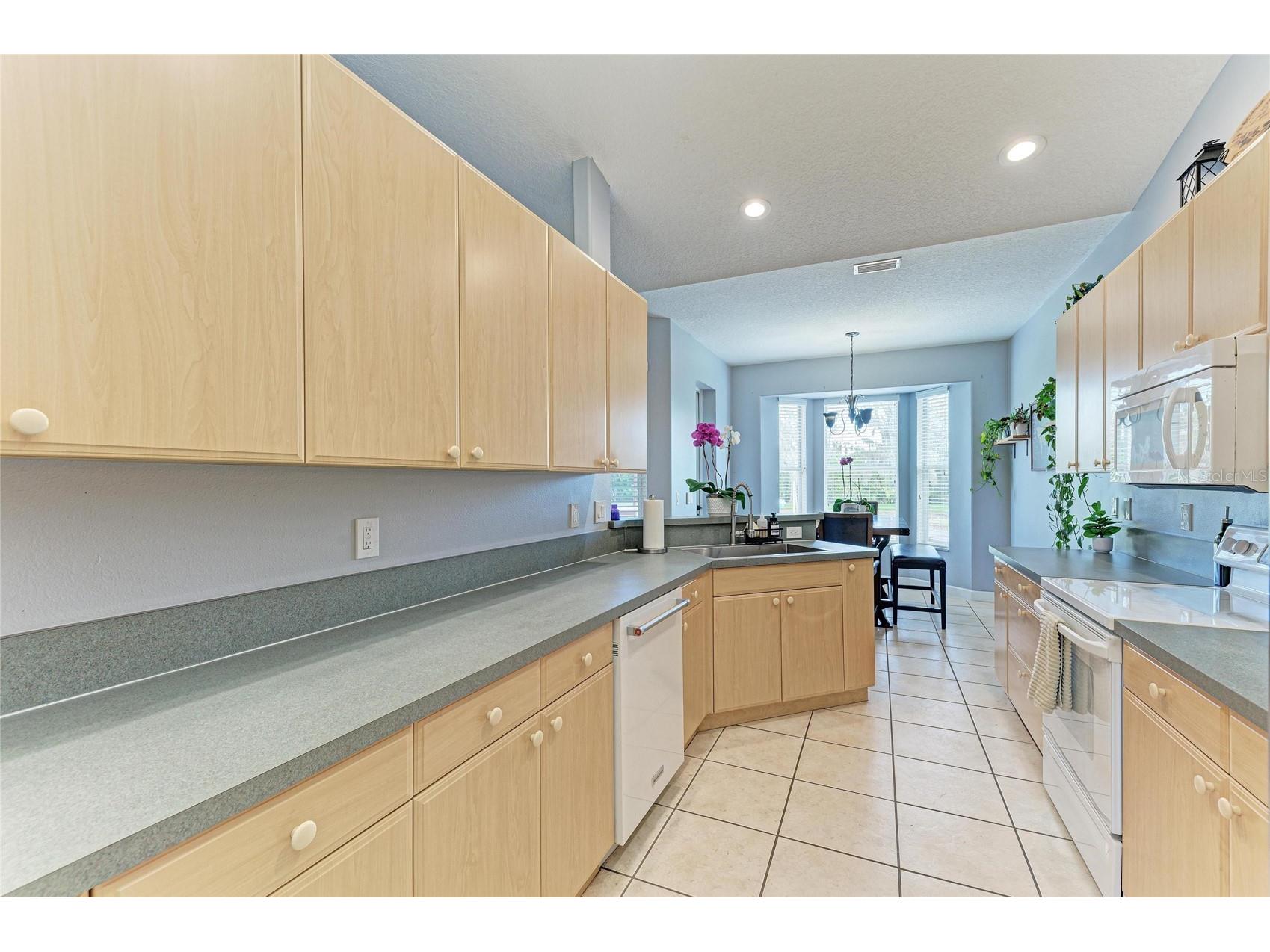 9110 64th Court E Parrish FL 34219 A4698033 image11