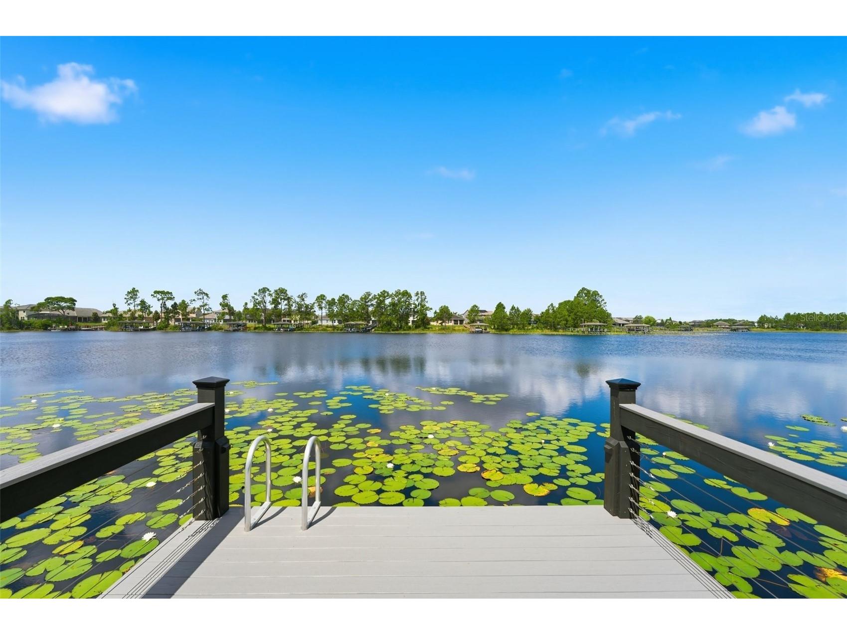 9110 Morgana Court Winter Garden FL 34787 - HICKORYNUT O6409413 image63