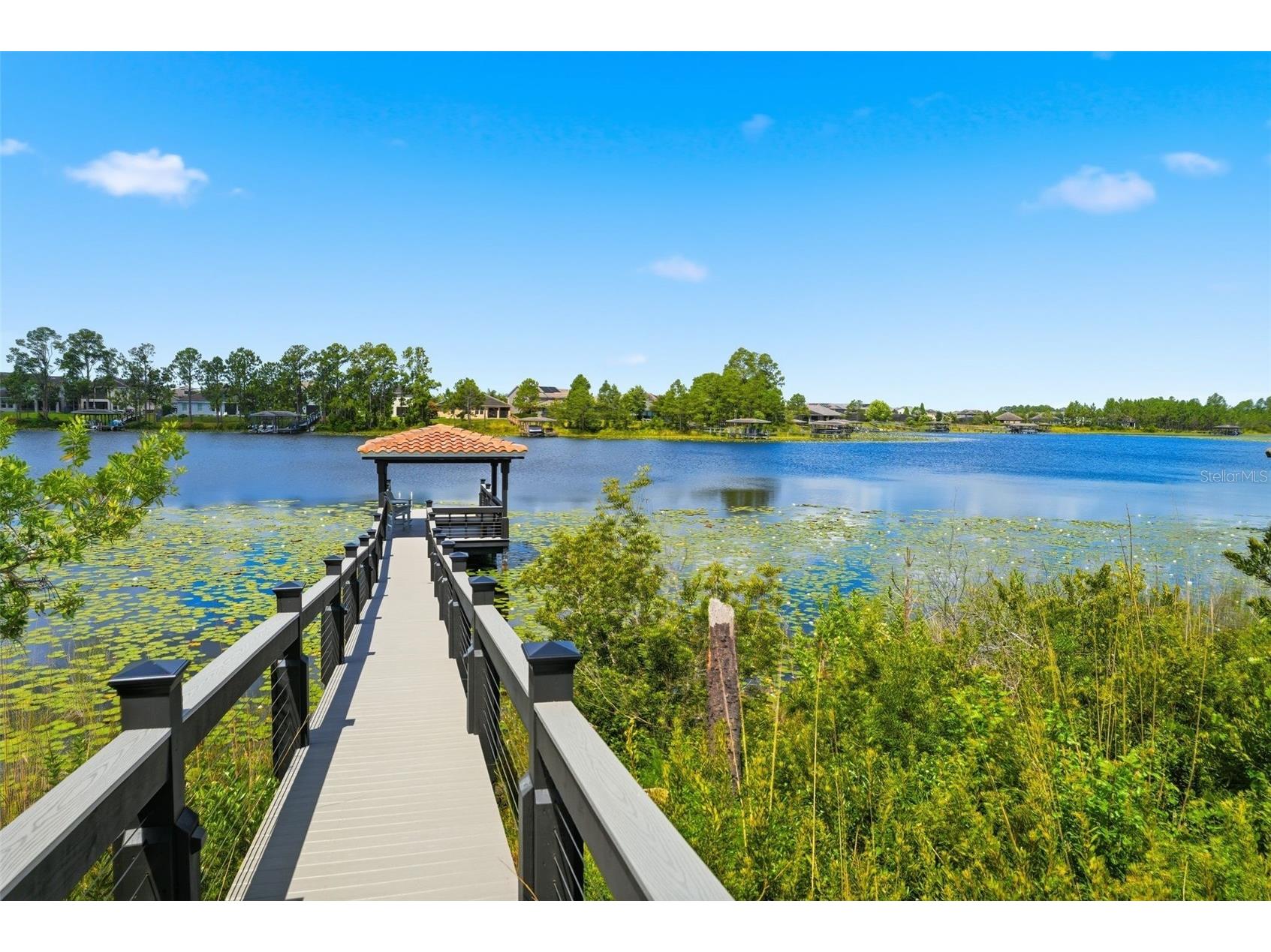 9110 Morgana Court Winter Garden FL 34787 - HICKORYNUT O6409413 image64