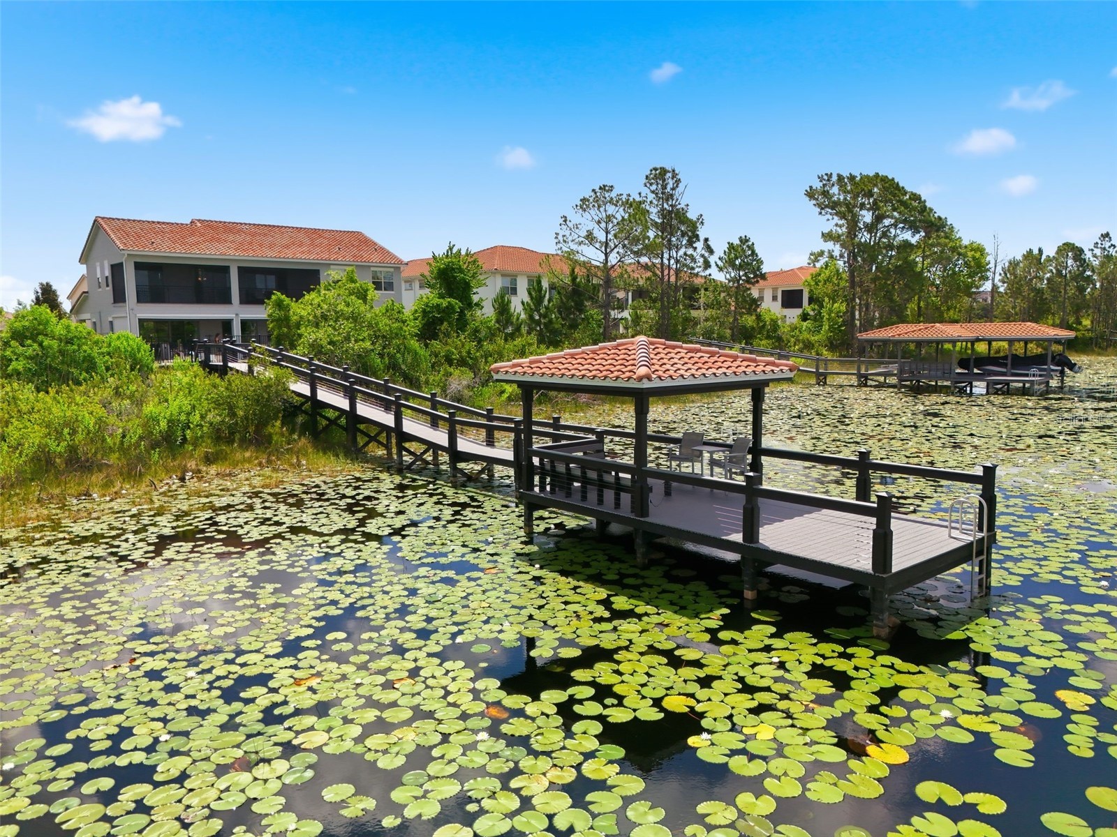 9110 Morgana Court Winter Garden FL 34787 - HICKORYNUT O6409413 image65