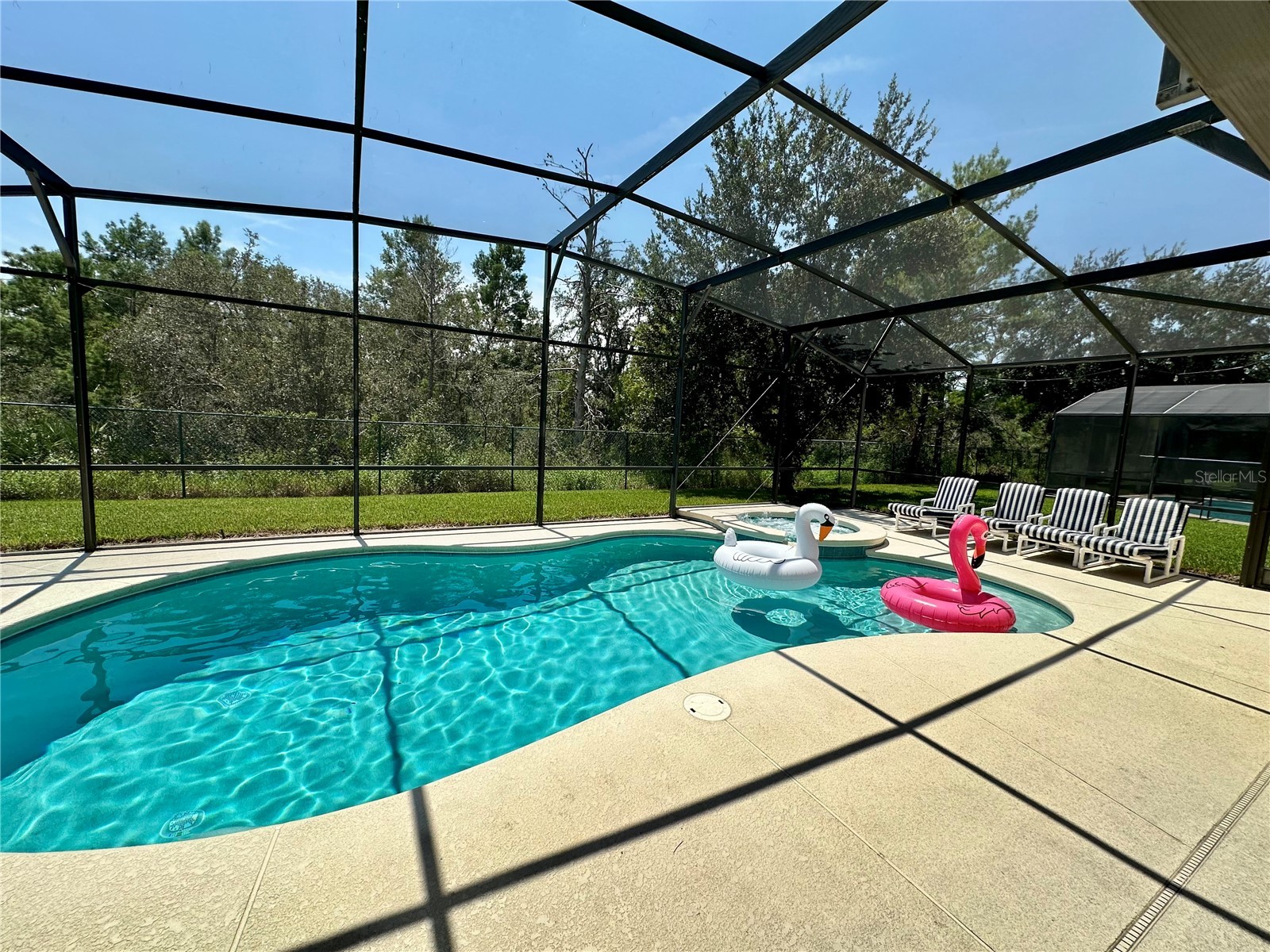 9110 Stromboli Court Kissimmee FL 34747 S5150573 image2