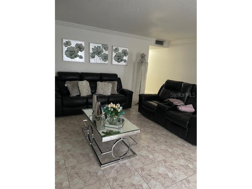 9110 Tudor Drive #L106 Tampa FL 33615 TB8529704 image14
