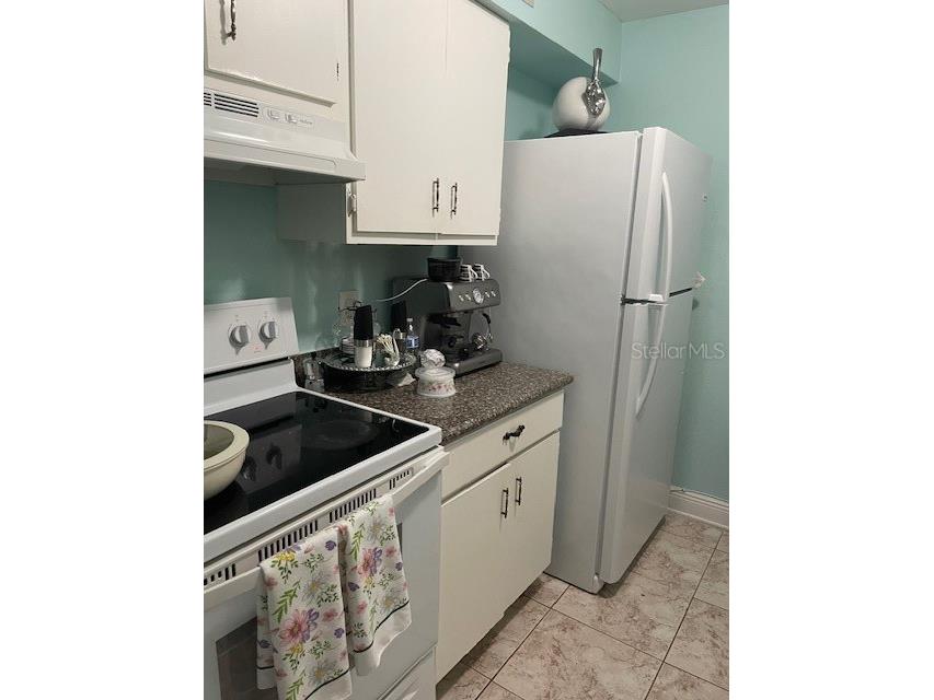 9110 Tudor Drive #L106 Tampa FL 33615 TB8529704 image15