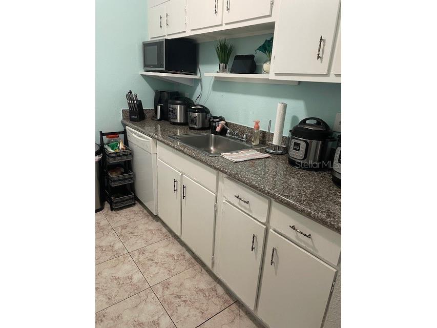 9110 Tudor Drive #L106 Tampa FL 33615 TB8529704 image16