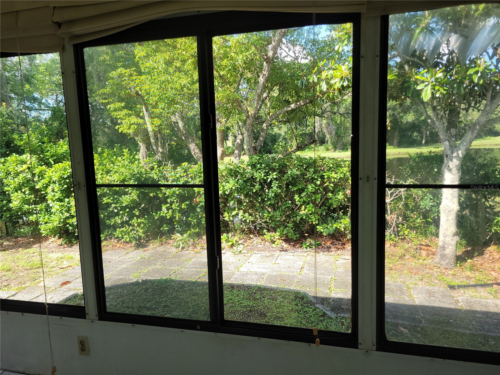 9110 Via Recreo New Port Richey FL 34655 TB8518978 image20