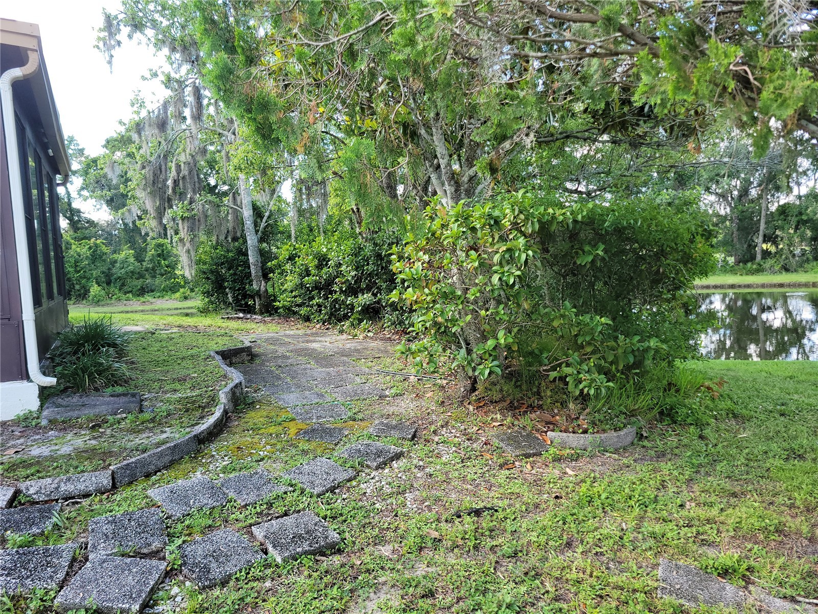9110 Via Recreo New Port Richey FL 34655 TB8518978 image22