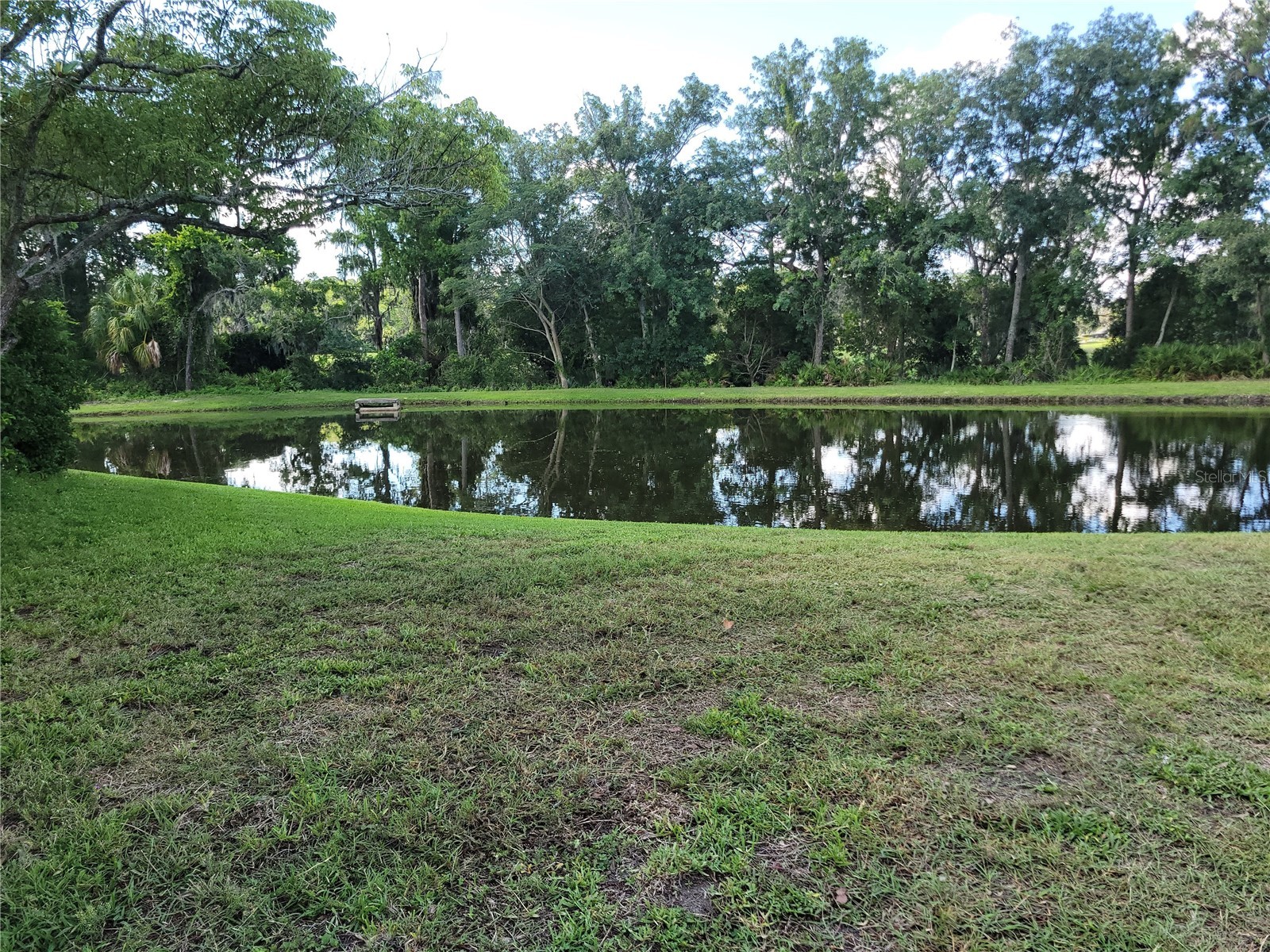9110 Via Recreo New Port Richey FL 34655 TB8518978 image25