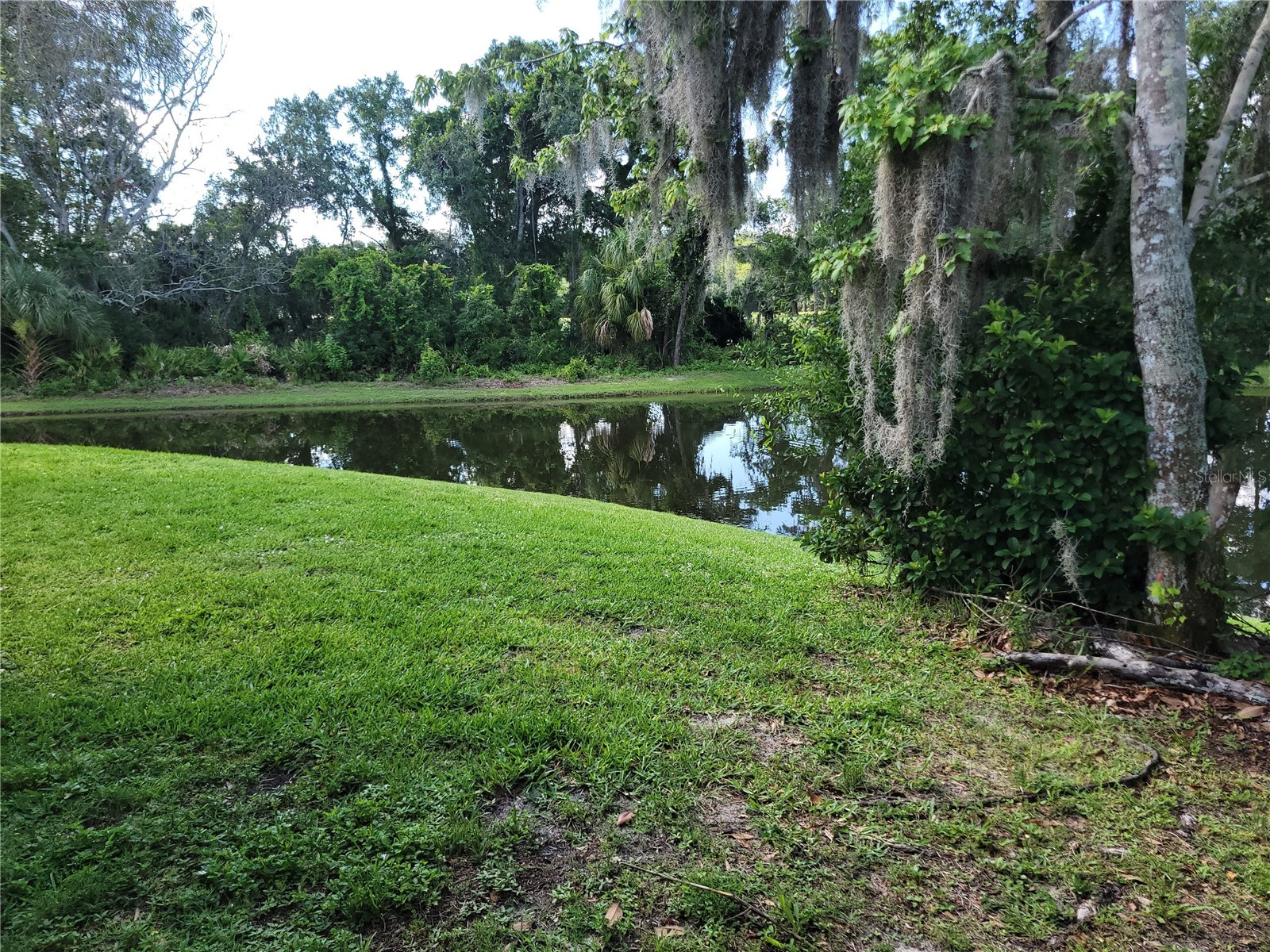 9110 Via Recreo New Port Richey FL 34655 TB8518978 image26