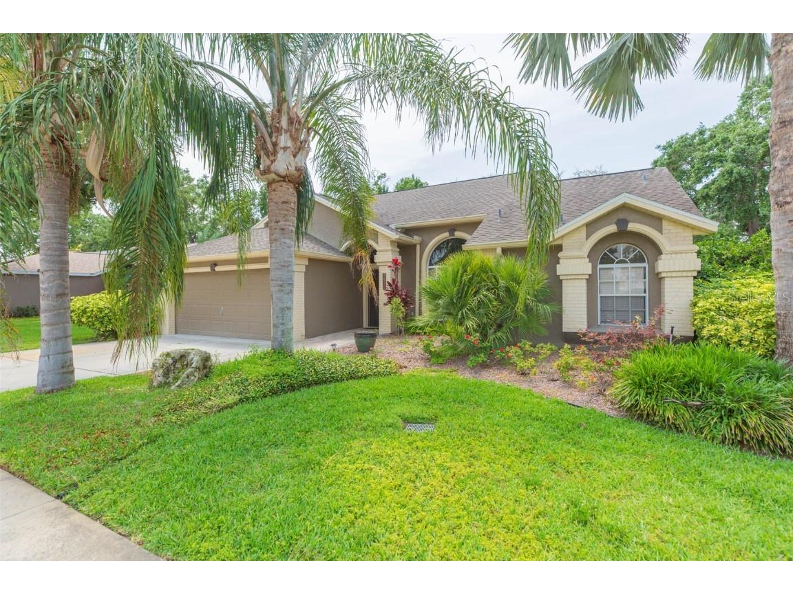 9112 Calle Alta New Port Richey FL 34655 TB8378520 image2