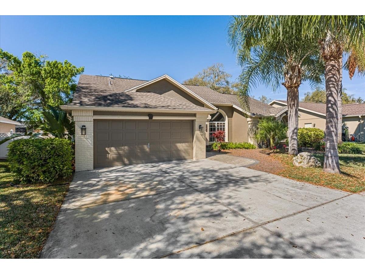 9112 Calle Alta New Port Richey FL 34655 TB8508521 image3