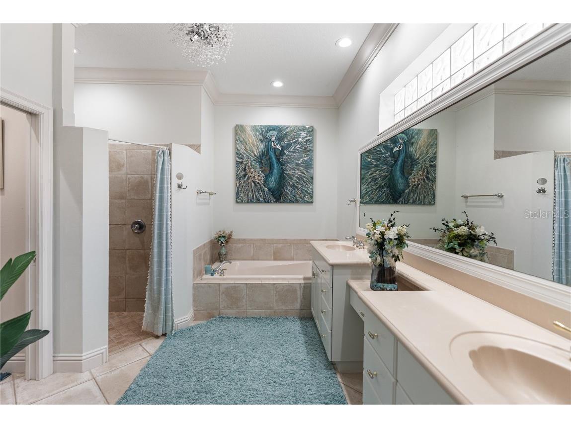 9112 Willow Brook Drive Sarasota FL 34238 A4675082 image35