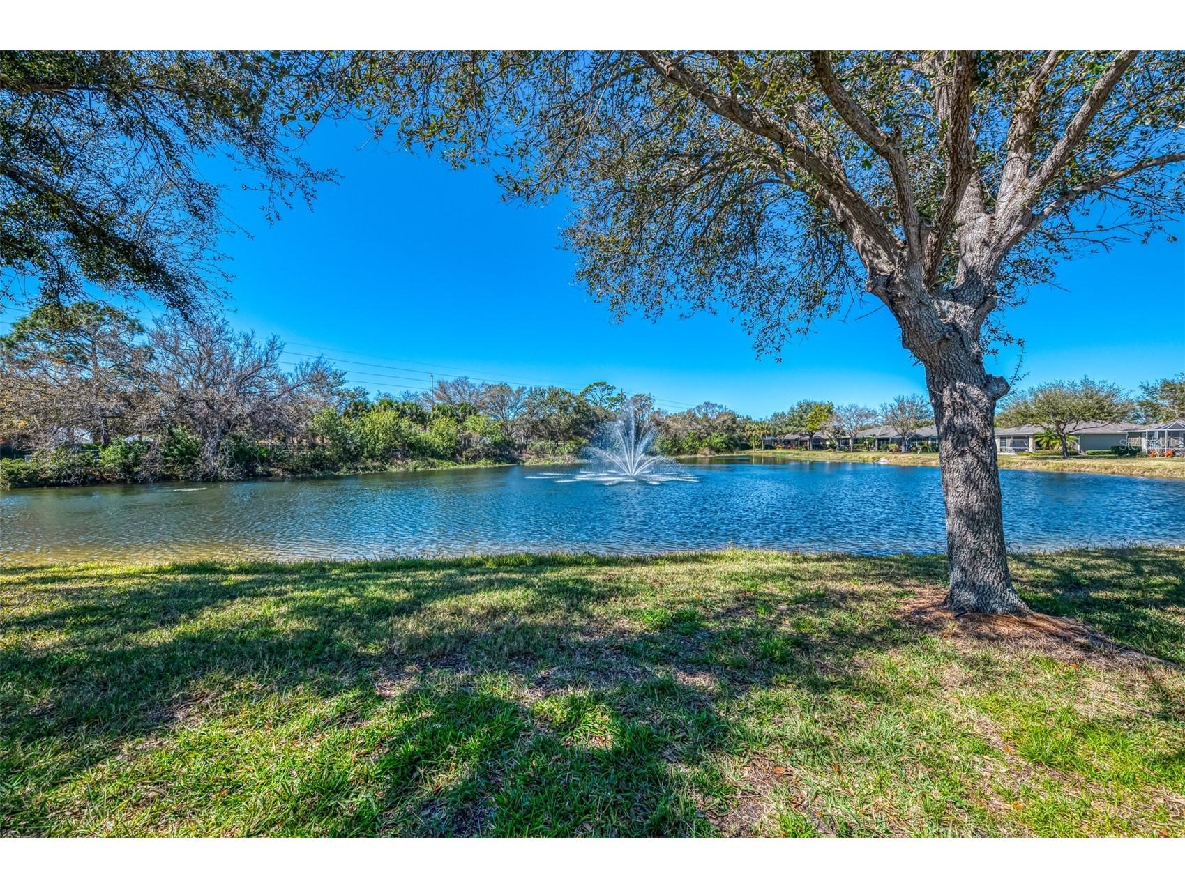 9113 Coachman Drive Venice FL 34293 N6142973 image51