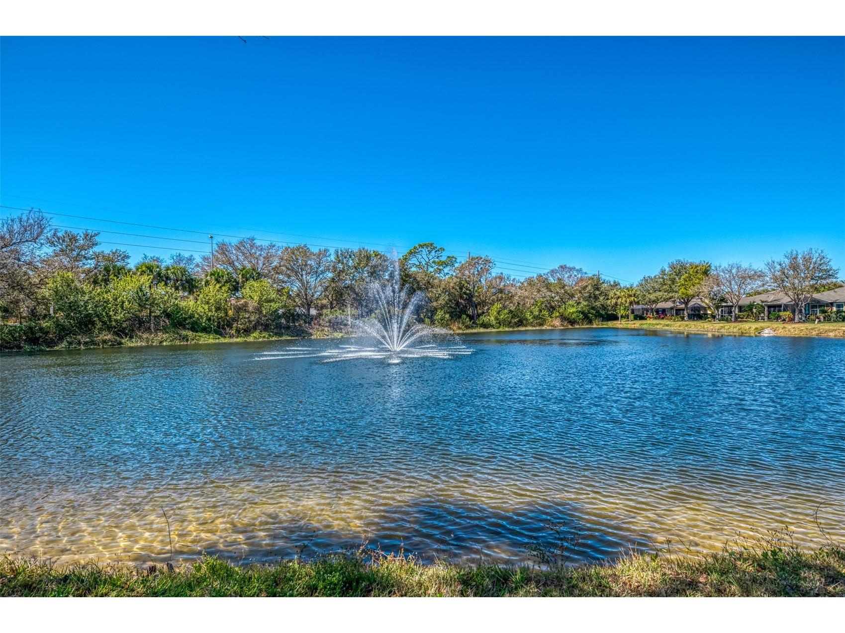 9113 Coachman Drive Venice FL 34293 N6142973 image52