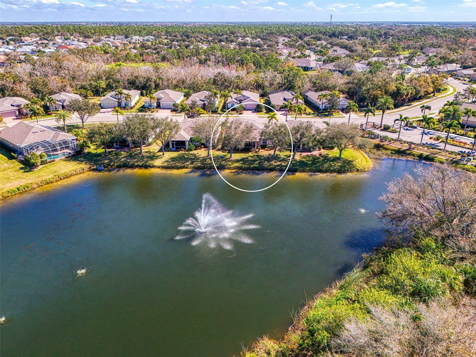 9113 Coachman Drive Venice FL 34293 N6142973 image54