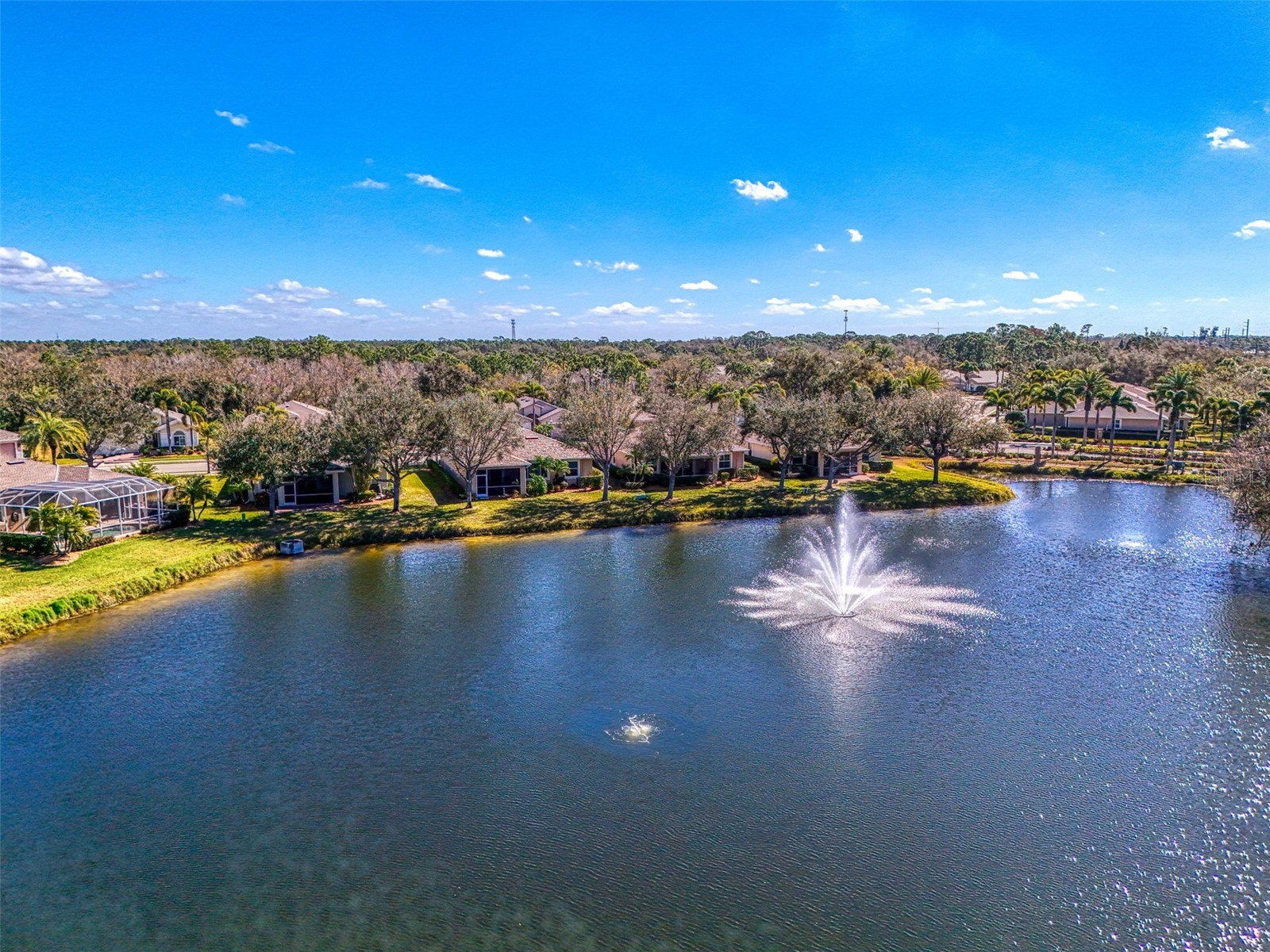 9113 Coachman Drive Venice FL 34293 N6142973 image55