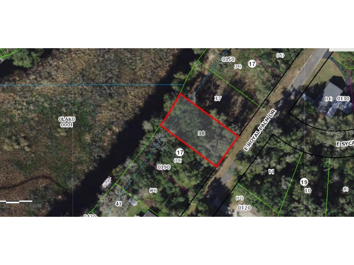 9113 E Royal Palm Drive Inverness FL 34450 W7872397 image1