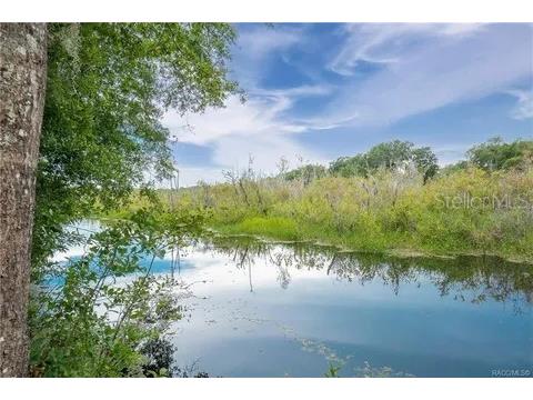 9113 E Royal Palm Drive Inverness FL 34450 W7872397 image4