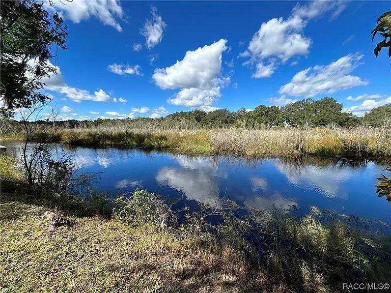 9113 E Royal Palm Drive Inverness FL 34450 W7872397 image5