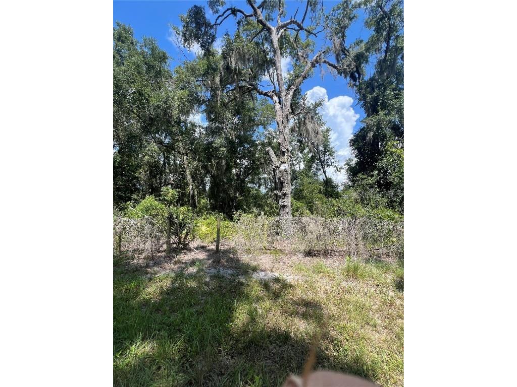 9113 E Royal Palm Drive Inverness FL 34450 W7872397 image7